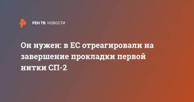 Владимир Путин - Он нужен: В ЕС отреагировали на завершение прокладки первой нитки СП-2 - ren.tv - Москва - Эстония