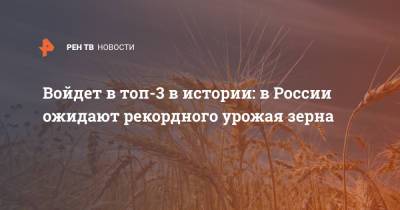 Аркадий Злочевский - Войдет в топ-3 в истории: в России ожидают рекордного урожая зерна - ren.tv - Катар