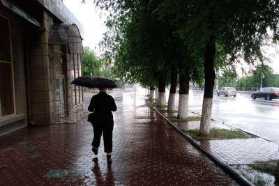 Выходные в Волгограде пройдут под эгидой дождя с грозами