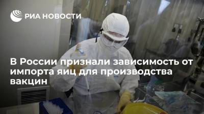 В России признали зависимость от импорта яиц для производства вакцин