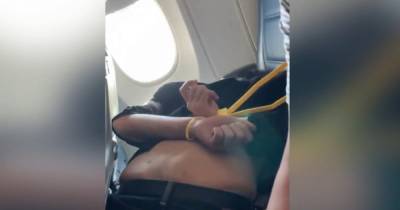 "Остановите самолет!" В США пассажир пытался выбить дверь в кабину к пилотам (видео) - focus.ua - США - Лос-Анджелес - штат Нью-Мексико - county Delta