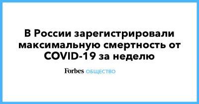 В России зарегистрировали максимальную смертность от COVID-19 за неделю