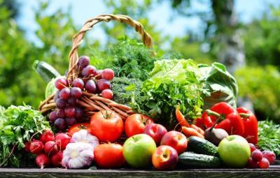 Посевной календарь на июнь: календарь благоприятных дней для выращивания овощей