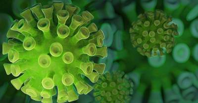 В Австралии обнаружили новый штамм коронавируса