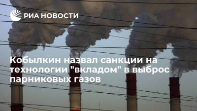 Кобылкин назвал санкции на технологии "вкладом" в выброс парниковых газов