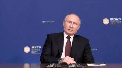 Путин напомнил о праве России выстраивать политическую систему самостоятельно