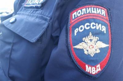 Воронежские полицейские спасли тонущих в болоте детей