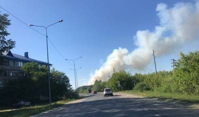 Клубы дыма от лесного пожара поднимаются недалеко от тюменской ТЭЦ-2