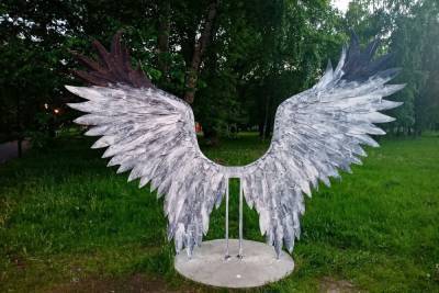 В новгородском парке вандалы испортили арт-объект «Крылья»
