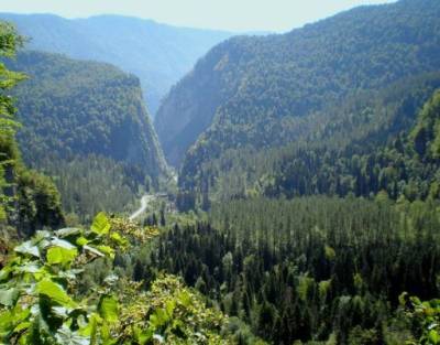 Эколог назвал самое главное изменение климата в Абхазии
