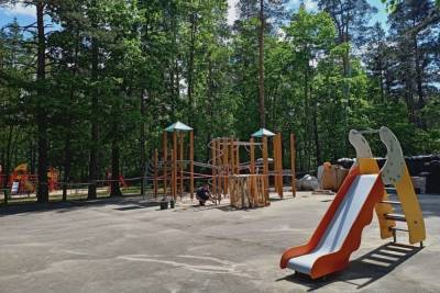 Губернатор осмотрел новую детскую площадку в Пушкинских Горах