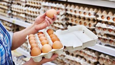 «Дефицита нет»: в Россельхознадзоре опровергли зависимость РФ от импорта яиц