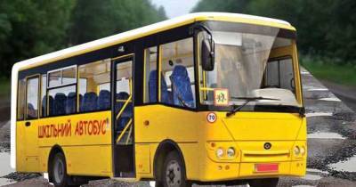 Автобус маневрує стежкою у хащах "джунглів": під Кропивницьким показали, як возять до сільської школи дітей