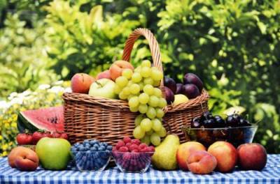 Названы ягоды и фрукты, которые полезно есть с косточками