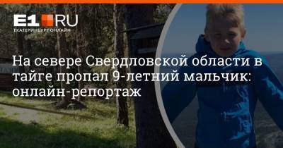 На севере Свердловской области в тайге пропал 9-летний мальчик: онлайн-репортаж