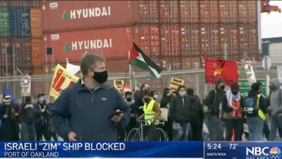 В порту США отказались разгружать судно из Израиля из-за палестинских протестов