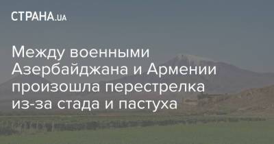 Между военными Азербайджана и Армении произошла перестрелка из-за стада и пастуха