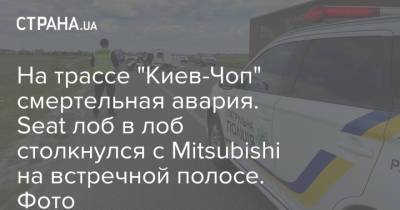 На трассе "Киев-Чоп" смертельная авария. Seat лоб в лоб столкнулся с Mitsubishi на встречной полосе. Фото