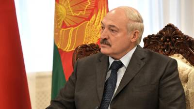 Британский эксперт отметил успех Лукашенко в демонстрации бесхребетности Запада