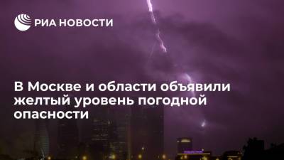 В Москве и области объявили желтый уровень погодной опасности