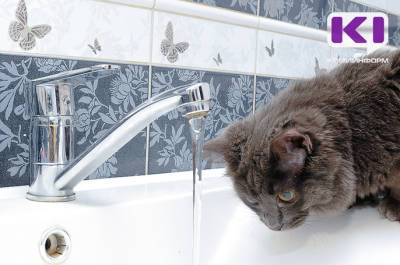 В ряде домов Сыктывкара на три дня отключат горячую воду