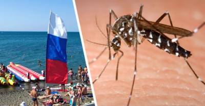 Российских туристов предупредили о нашествии опасных насекомых: их раньше не было