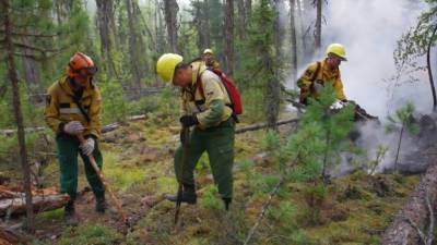 В России резко выросла площадь лесных пожаров