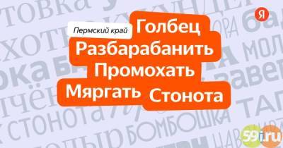 Яндекс назвал пермские местные слова