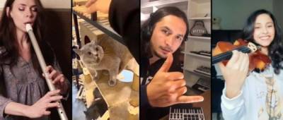 Музыканты со всего мира превратили мем с мяукающим котом в симфонию — частью коллабы стала и украинка