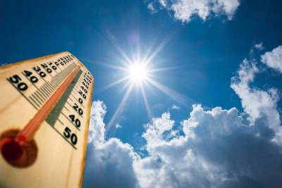 МЧС объявило в Ленобласти штормовое предупреждение из-за 30-градусной жары