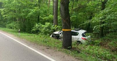 В Калининградской области двое водителей пострадали при столкновении машин с деревьями (фото)