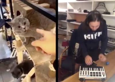 Участница вирусного ролика с «поющим» котом рассказала о создании музыкального видео