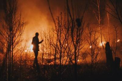 Полиция поймала двух поджигателей, из-за которых горит лес на Молоковке