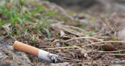 Минздрав оценил последствия отказа от курения в течение пяти лет