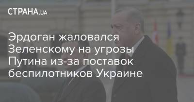 Эрдоган жаловался Зеленскому на угрозы Путина из-за поставок беспилотников Украине