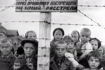 В России создали петицию о признании геноцида советского народа нацистами