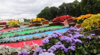 Еще семь цветников появятся в Александровском саду