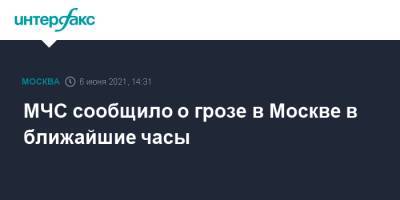 МЧС сообщило о грозе в Москве в ближайшие часы