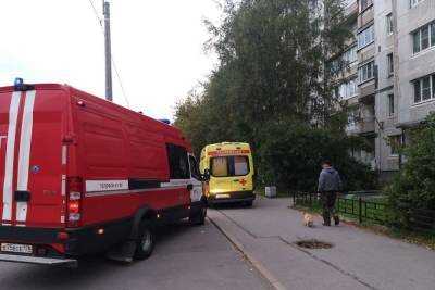 Семья пострадала в ДТП с такси, влетевшим в поребрик на Петроградской набережной