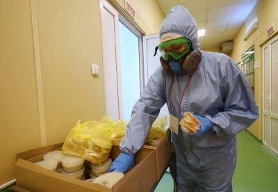В России за сутки зафиксировано 9 163 случая заражения коронавирусом