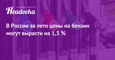 В России за лето цены на бензин могут вырасти на 1,5 %