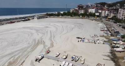 Насморк у Мраморного моря. Президент Турции пообещал очистить побережье от "морских соплей"