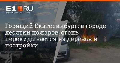 Горящий Екатеринбург: в городе десятки пожаров, огонь перекидывается на деревья и постройки