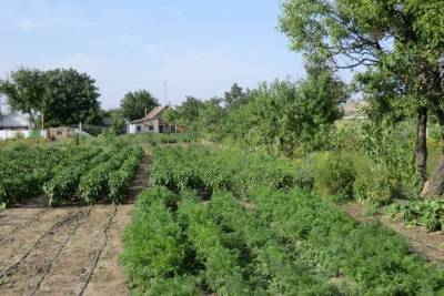 МК в Тамбове советует: садово-огородные работы лучше проводить в благоприятные дни