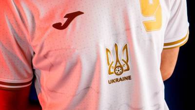 Почетный президент РФС назвал подлостью изображение Крыма на форме сборной Украины