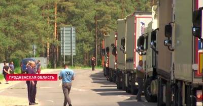 Более 1 800 фур ожидают выезда из Беларуси в Евросоюз. Что происходит на границе?