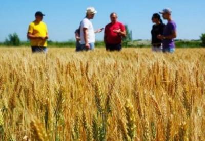Аграриям в Украине упростят доступ к программам господдержки