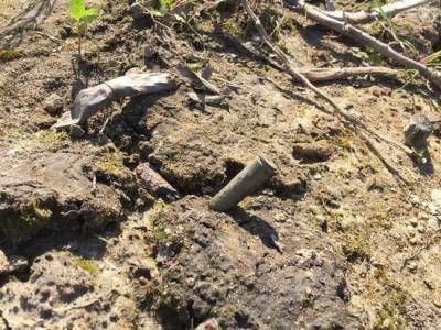 В Ленобласти от строительных работ спасают останки солдат ВОВ