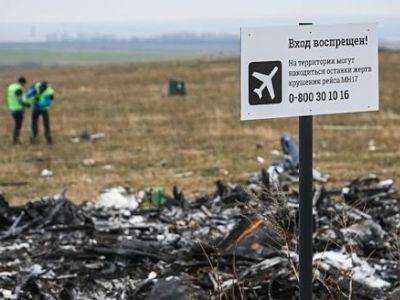 Семьи погибших при крушении MH17 обратились к Путину