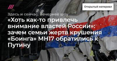 «Хоть как-то привлечь внимание властей России»: зачем семьи жертв крушения «Боинга» MH17 обратились к Путину